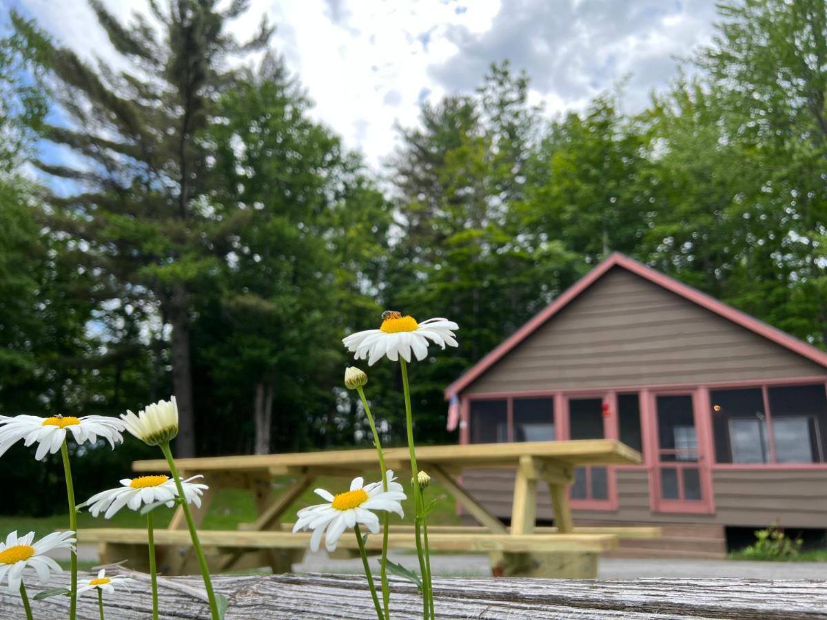 Adirondack Lake Cabins Hotel Indian Lake Buitenkant foto